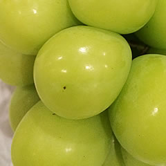 高級葡萄山形 大粒シャインマスカット