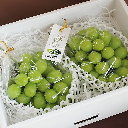 高級葡萄山形 大粒シャインマスカット