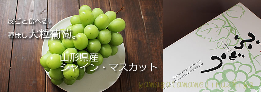 ���������R�`�@�嗱�V���C���}�X�J�b�g