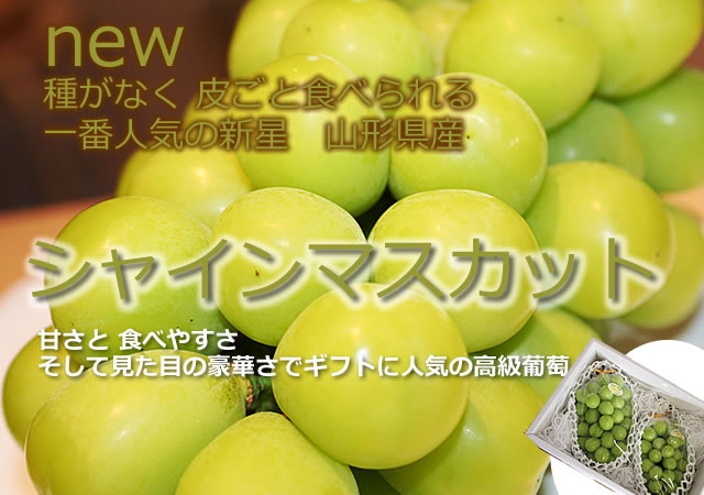 ���������R�`�@�嗱�V���C���}�X�J�b�g