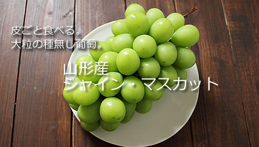 高級葡萄山形 大粒シャインマスカット
