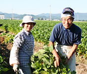 �������ᓤ���Y��