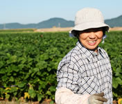 �������ᓤ�����Y��