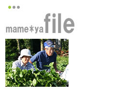 �������ᓤ��