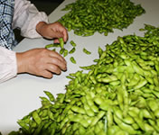 �������ᓤ�d�����肳�΂��A�b�v