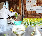 �������ᓤ�܋l��