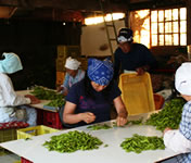 �������ᓤ�̎d�������