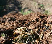 �������ᓤ���L�@�엿