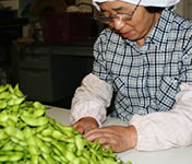 �������ᓤ�̑I��