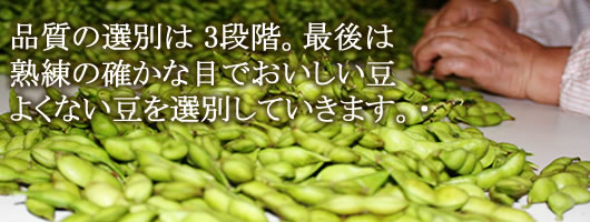 �������ᓤ�̑I��