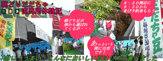 ���R�Y�������ᓤ�Y�n����