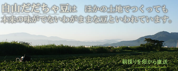 �������ᓤ�@�_�_�`����