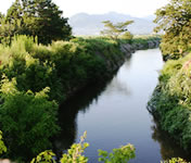 �������ᓤ���߂����K��