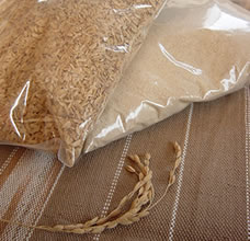 ���Ă����Ђ���