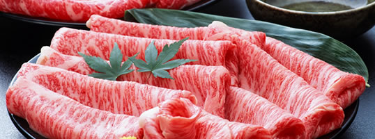 �R�`���đ򋍂����Ă�����Ԃ����