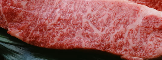 �R�`���đ򋍏ăX�e�[�L