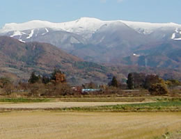 �����R�[��i�F�c���