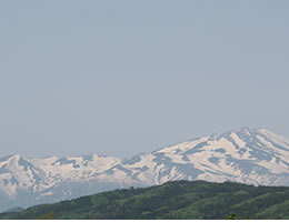 �R�`�Y�����؏����؃��[�X���X��