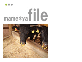 �������ڍ����юR�`�̍�����������