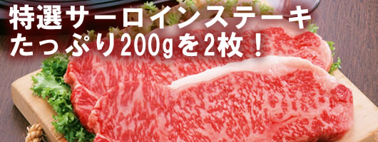 ���~��a���X�e�[�L�đ򋍎R�`��������