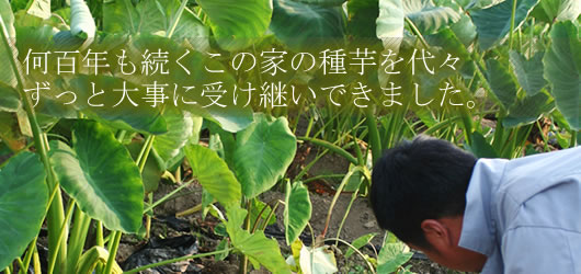 ���˂��������R�`�̂����ϗp����������