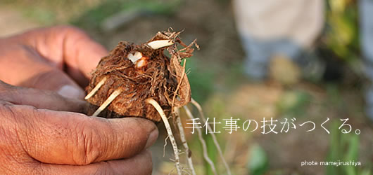 ���˂����@�����R�`�̂����ϗp����������