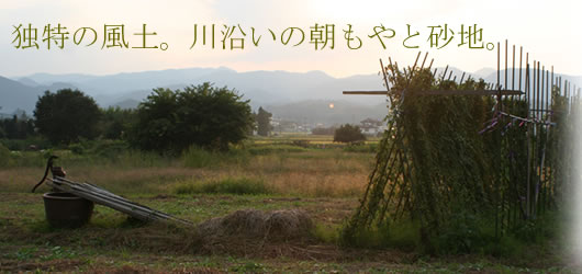 ���˂����@�����R�`�̂����ϗp����������