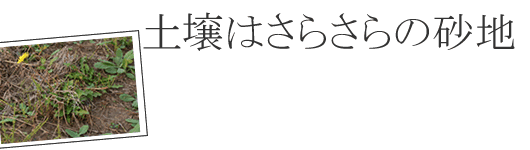 �����R�`�̂����ϗp����������