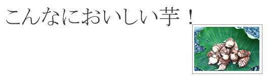 �����R�`�̂����ϗp����������