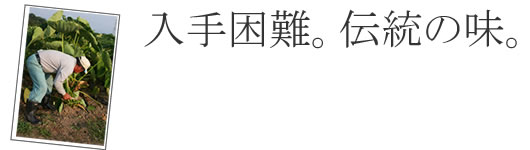 �����R�`�̂����ϗp����������