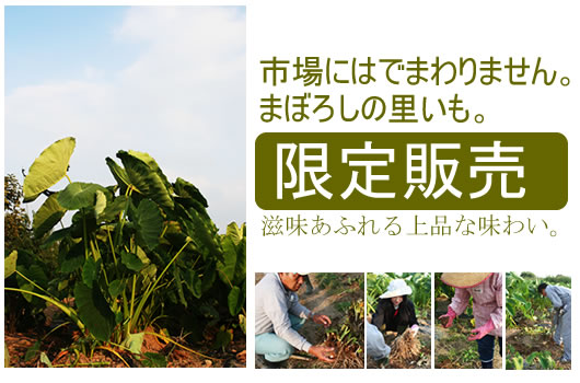 �����R�`�̂����ϗp����������