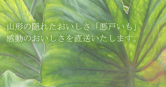 ���̗����@�R�`�̈��˂����@�����ϗp