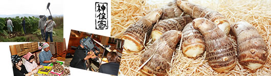 NHK�e���r�ԑg���܂����I�ŏЉ�������܂���