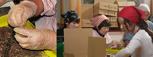 �e���r�ŏЉ�����������˂���