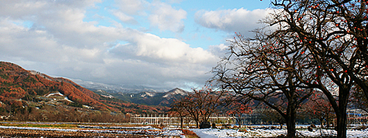 �g�`�̗��@�����R�[