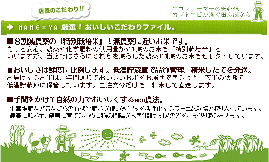 �����_��ɋɂ߂ċ߂������ʂ̗��ʂł͍��z�ɂȂ�i���̕Ă��Y�n�������i�ŁB