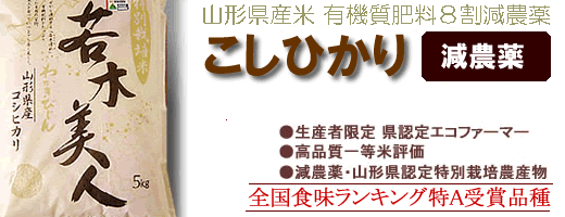 �����Ђ���