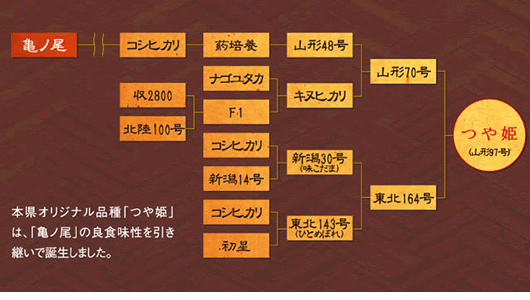 ��P�̒a���ɂ���