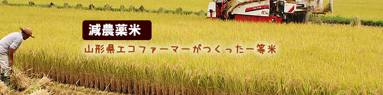 ���Ă̔̔��V�Ă����Ђ���R�`�_�ƒ������ʍ͔|�Ă����Ђ���Ƃ͂��ʂ����w�엿��8�������炵�č͔|���ꂽ��ʓI�ɂ͎�ɂ���邱�Ƃ��ނ������������N�̓��ʍ͔|�Ăł��B