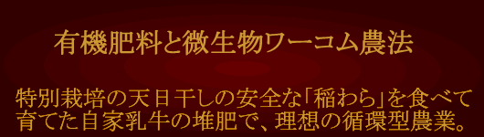 �v���~�A����P����̔��i