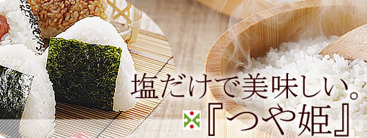 ��P�V�Ă��������I