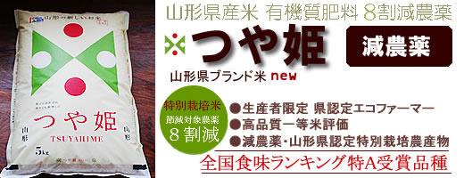 �����Ђ���