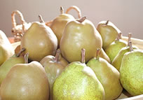 �W���[�X�����������t�����X�W���[�X