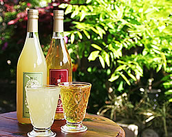 ���t�����X�W���[�X�Ƃ�񂲃W���[�X