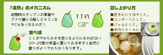 ���t�����X�̂��������H�ו�