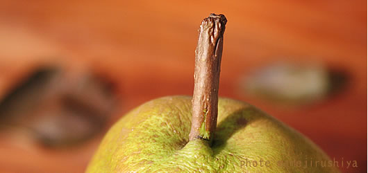 ���t�����X�@�R�`�@�̔�