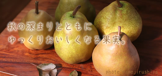 ���t�����X�@�R�`�@�̔�