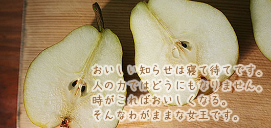 ���t�����X�@�R�`�@�̔�