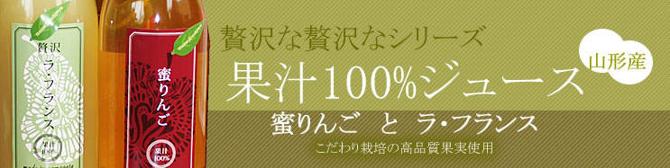 ���t�����X�W���[�X�@�����������t�����X�W���[�X�@