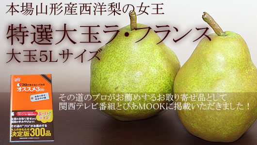 ���t�����X�@�R�`�@�̔���ʃ��t�����X